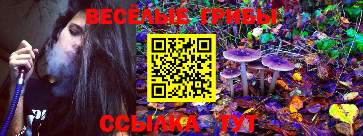 Конопля  Кудымкар  Где купить наркотики?  Cocaine  ГАШИШ  МЕТАДОН  МЕФ   Кокаин  Вход с VPN 